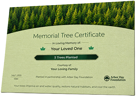 Plant Trees in Memory of Clarence Lawrence 